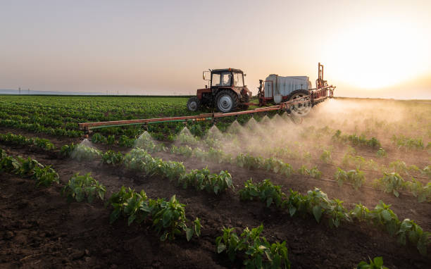 Best Commercial Pest Control Services  in Clara City, MN