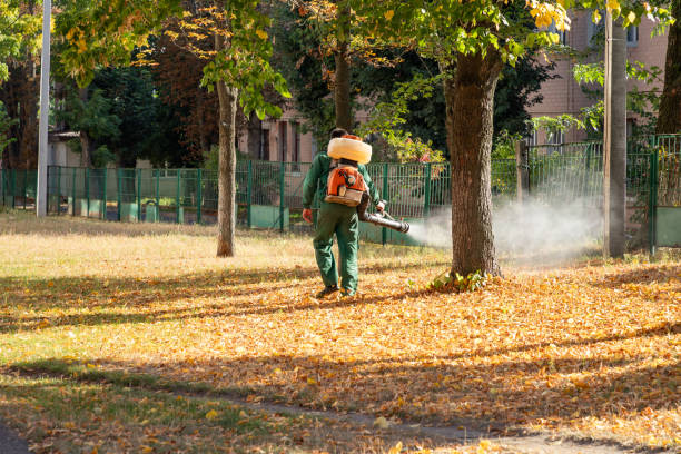 Best Exterminator Services  in Clara City, MN